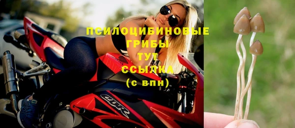таблы Арсеньев